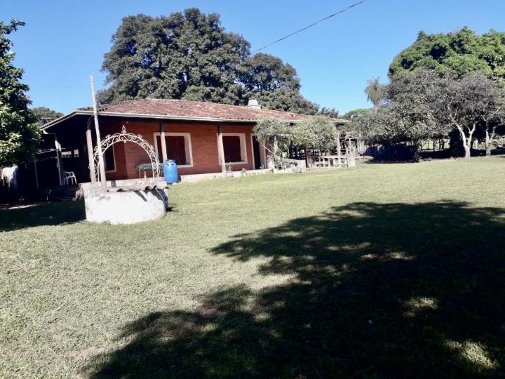 74 HA. GRANJA BETANIA EN NUEVA COLOMBIA